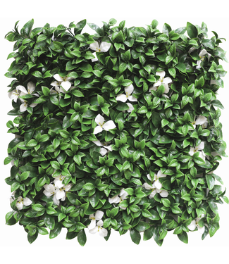 Greenmoods Kunsthaag Gardenia met witte bloem 50x50 cm UV