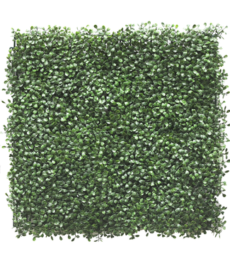 Greenmoods Kunsthaag Buxus 50x50 cm UV