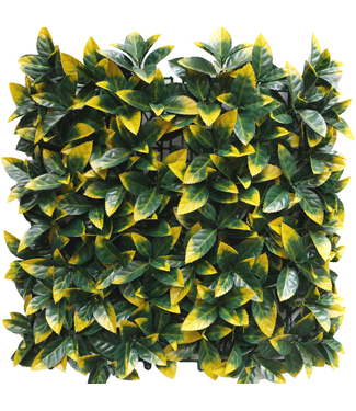 Greenmoods Kunsthaag Photonia geel 50x50 cm UV