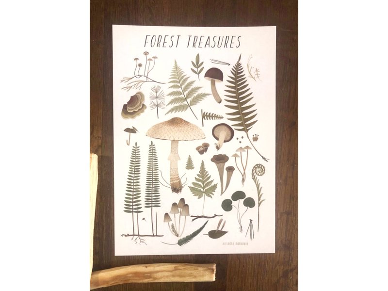 Alexandra Dvornikova Ansichtkaart - Forest Treasures (wit)