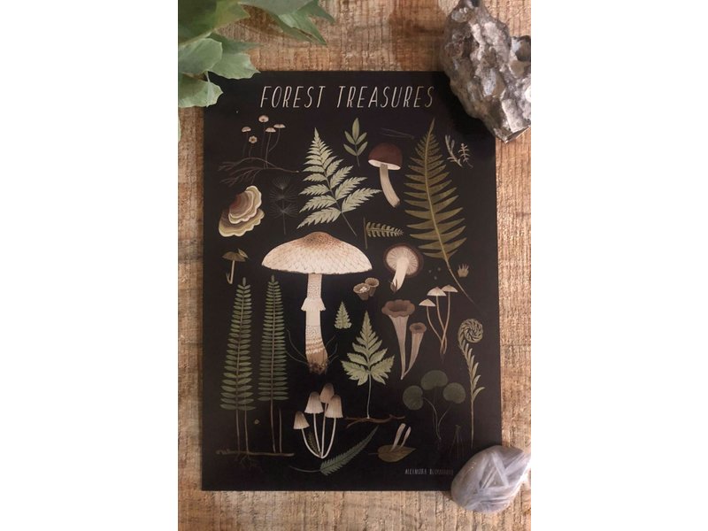 Alexandra Dvornikova Ansichtkaart - Forest Treasures (zwart)