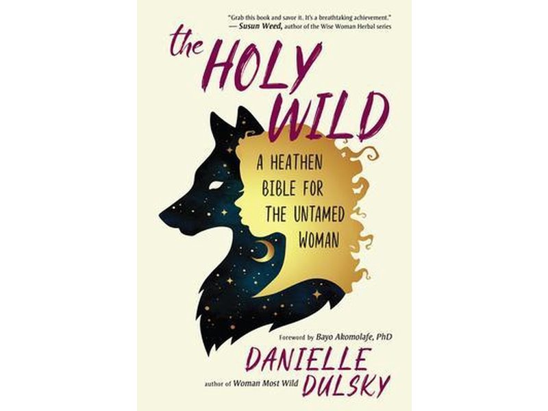 Danielle Dulsky The Holy Wild