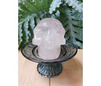 Kristallen Schedel Bergkristal 1055 gram