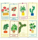 Houseplant Tarot