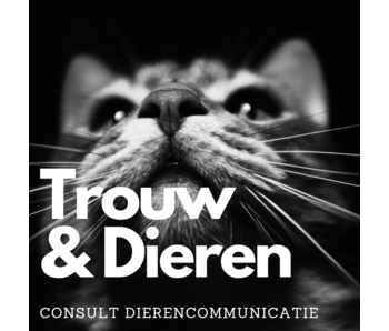 Consult Dierencommunicatie