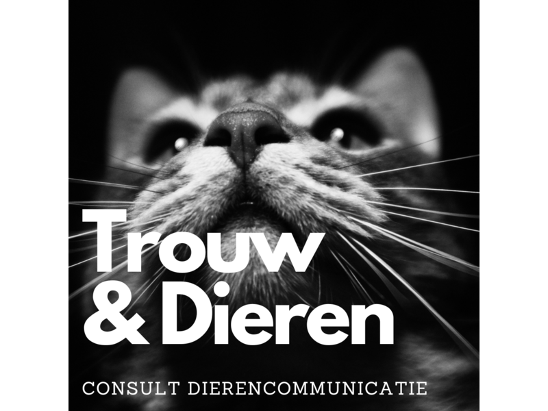 Consult Dierencommunicatie