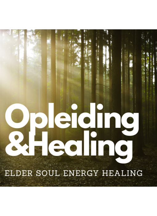 Soul Energy Healing Opleiding