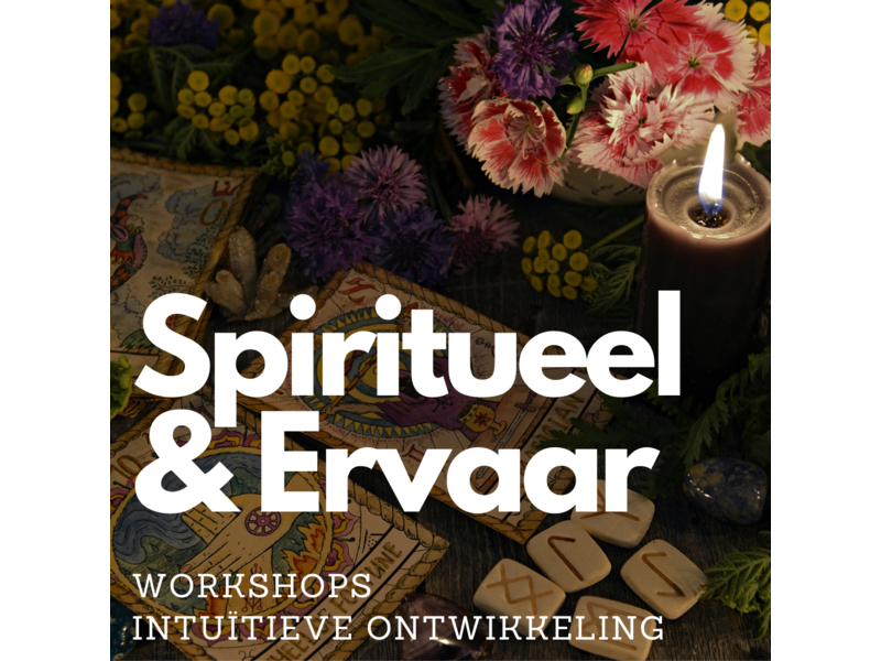 Zomerse Workshops bij House of Elder