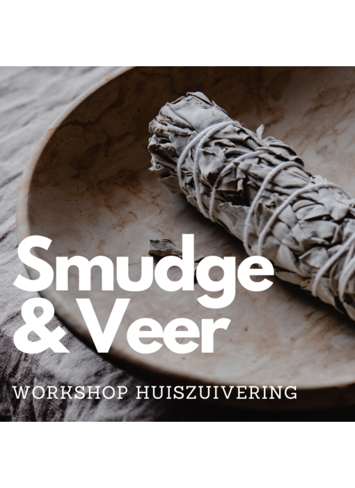 Workshop Huiszuivering