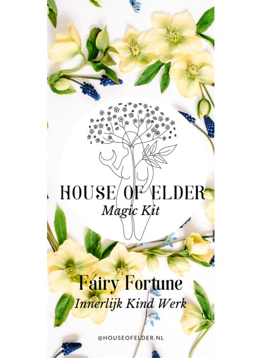 Magic Kit - Fairy Fortune - Innerlijk Kind