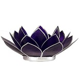 Waxinehouder Lotus - Violet met Zilverrand