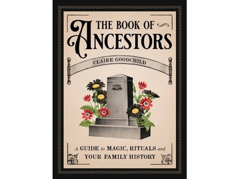 Claire Goodchild The Book of Ancestors