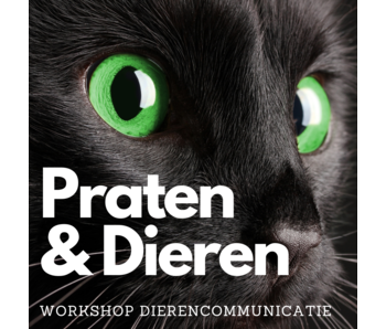 Workshop Dierencommunicatie