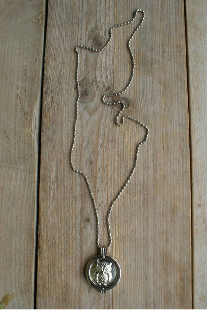 Zilverkleurige ketting met munt / Uil