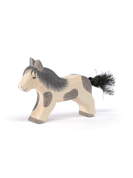 Ostheimer Shetland pony lopend