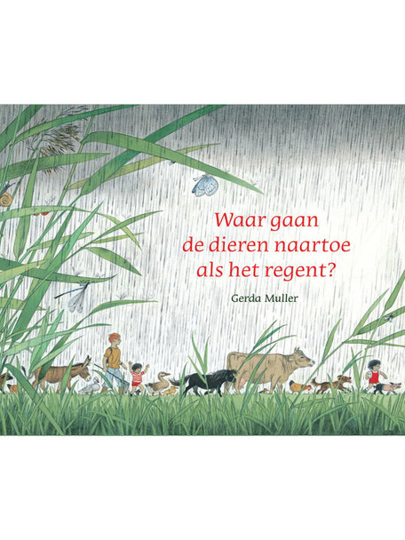 Christofoor Waar gaan de dieren naartoe als het regent?