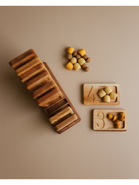 Spelenderwijs leren Houten cijfer tray - 10-delig