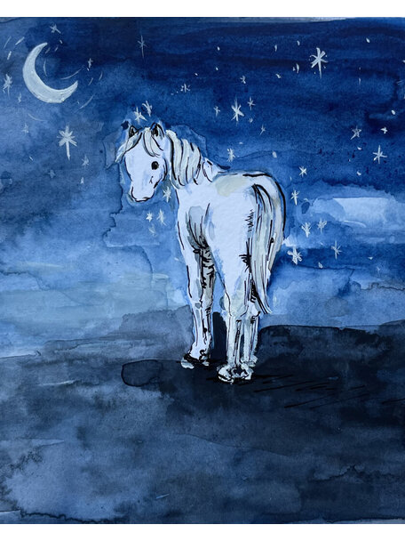 Bente Brama & Michaëla Westera Het sterrenpaardje