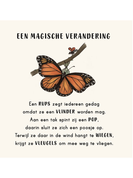 Lemniscaat Kalm aan in je buurt