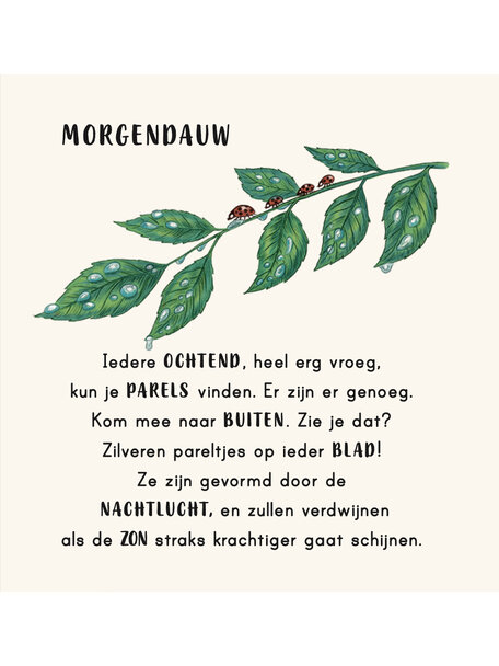 Lemniscaat Kalm aan in je buurt