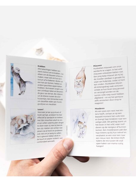 Kosmos Memospel - mispoes