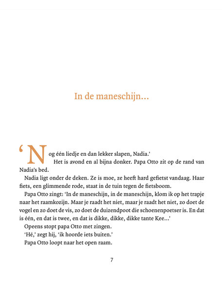 Luitingh Sijthoff Nadia's nacht