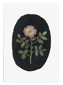 Gemma Koomen Gevouwen kaart - dog rose