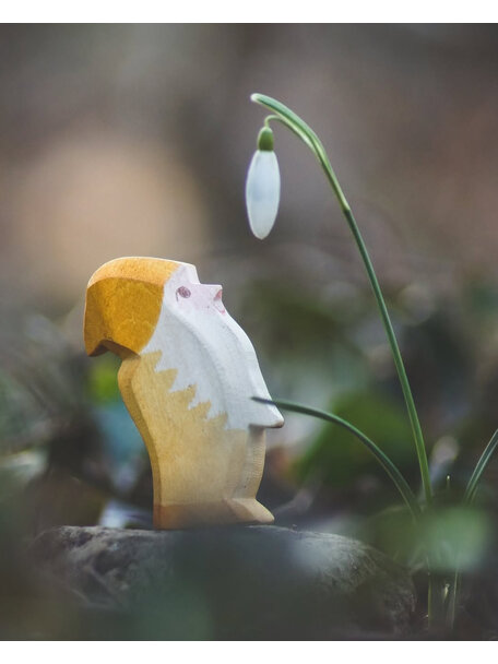 Ostheimer Dwerg - geel