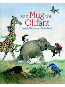 Lemniscaat van Mug tot Olifant