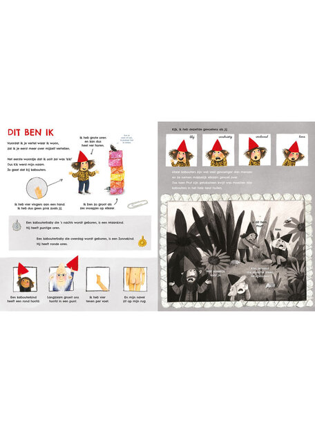 Gottmer Het kabouterboek