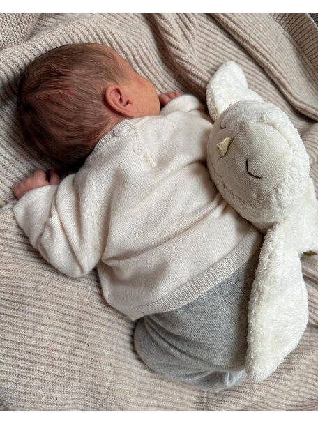 Senger Warmte knuffel uil - klein