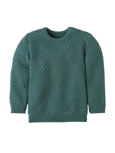 Disana Aran trui - eucalyptus