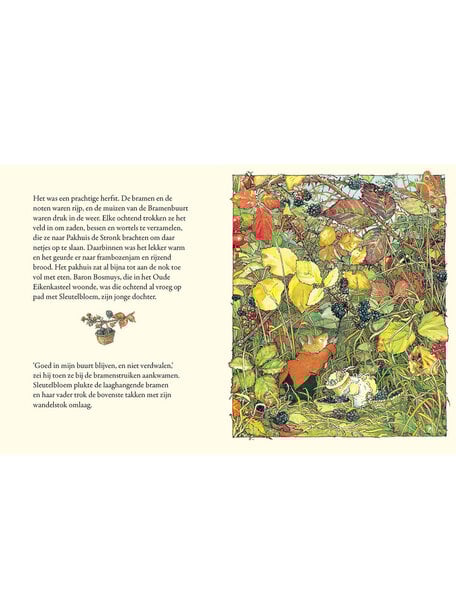 Boycott Bramenbuurt: Herfstverhaal