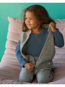 Disana Bodywarmer van gekookte wol - grijs