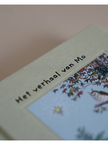 Christofoor Het verhaal van Mo