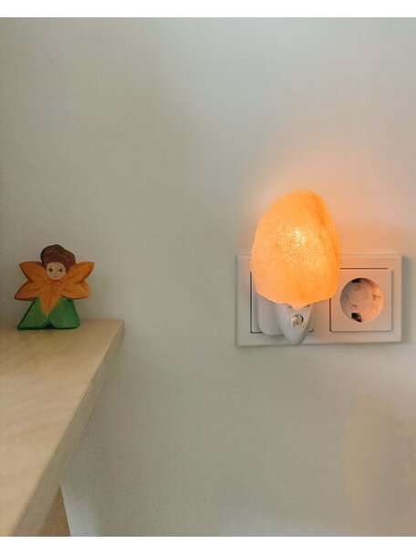 Ostheimer Bloemenkind - calendula