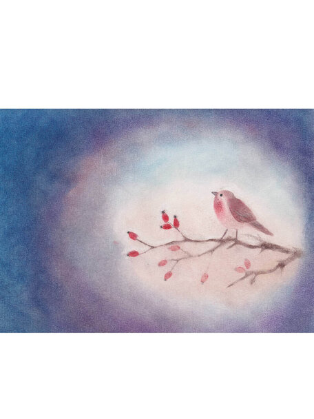 Seccorell Kaart - vogeltje