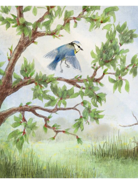 Wonderwoud Wonderwoud - lente 2026