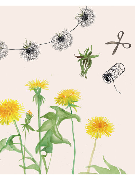 Wonderwoud Wonderwoud - lente 2026