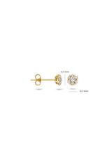 Blush 14 kt Blush Earstuds - 7241YZI