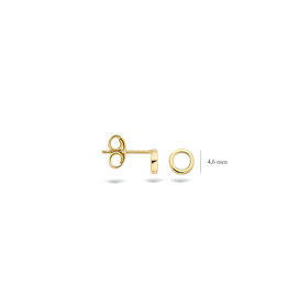 Blush 14 kt Blush Earstuds - 7244YGO