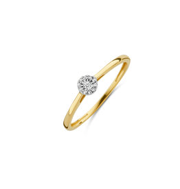 Blush 14 kt Blush Diamonds Ring 52 Yellow/ White Gold Dia. 0.04 - 1646BDI-52