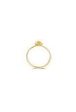 Blush 14 kt 1239YMC/52