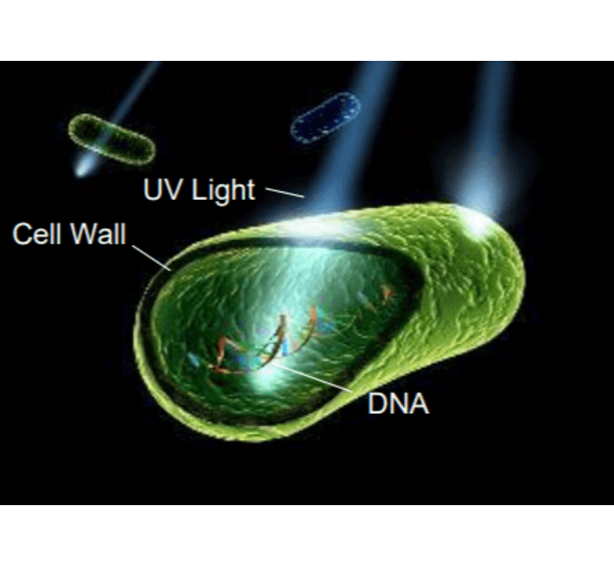 Sterilisatiekast UVC - doodt virussen en bacteriën!