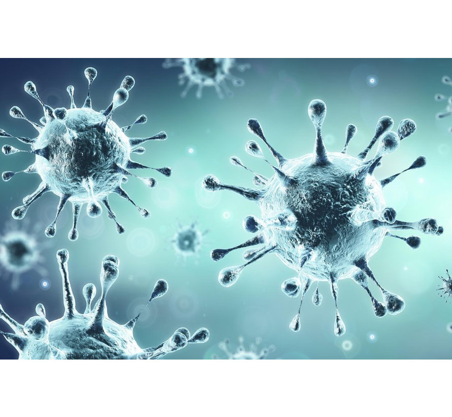 Sterilisatiekast UVC - doodt virussen en bacteriën!
