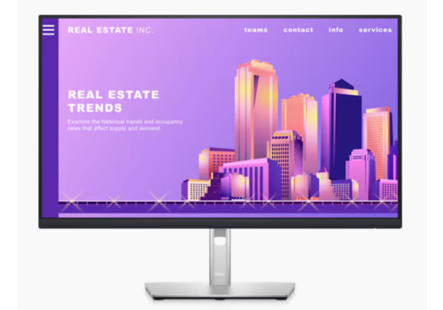 Dell P2722H - Full HD IPS Monitor - 27 Inch 