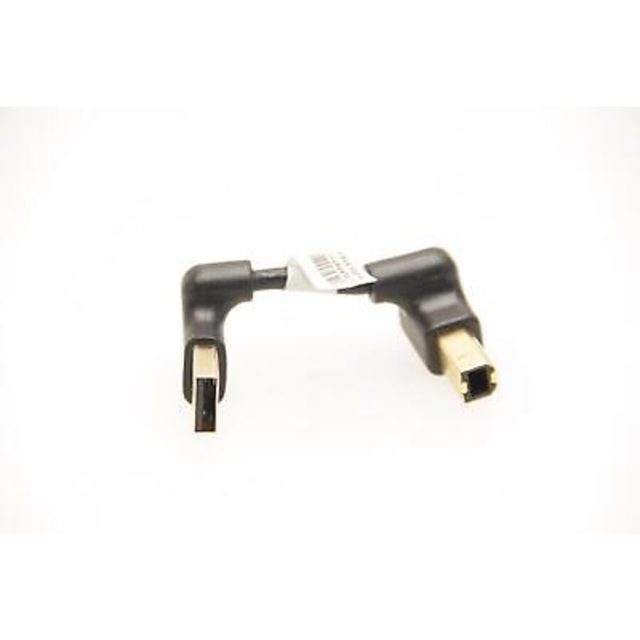 Lenovo USB Type A naar USB Type B Converterkabel (20mm) voor ThinkCentre M93P-1