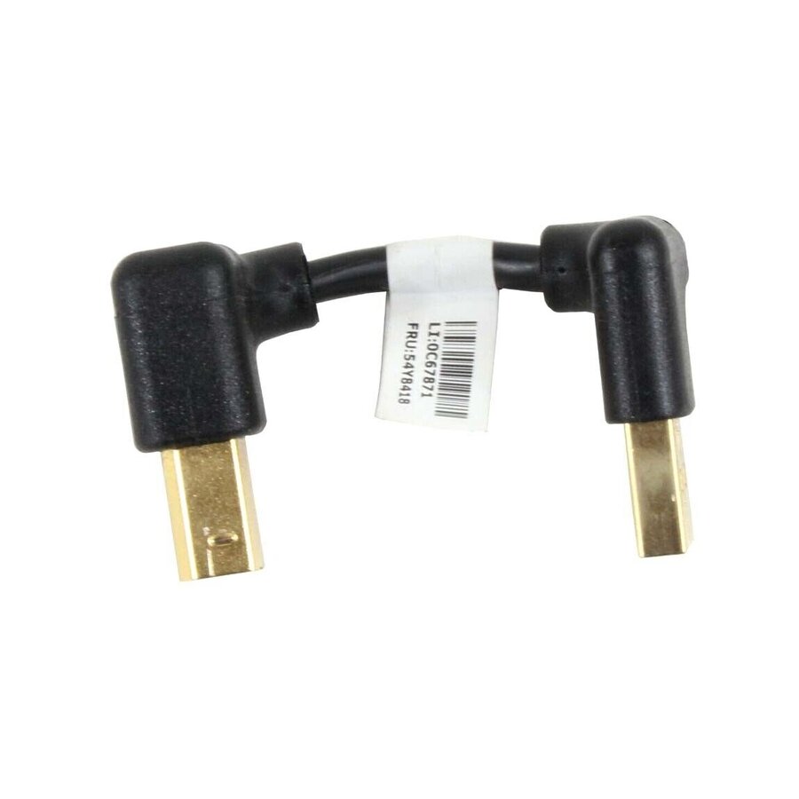 Lenovo USB Type A naar USB Type B Converterkabel (20mm) voor ThinkCentre M93P-2