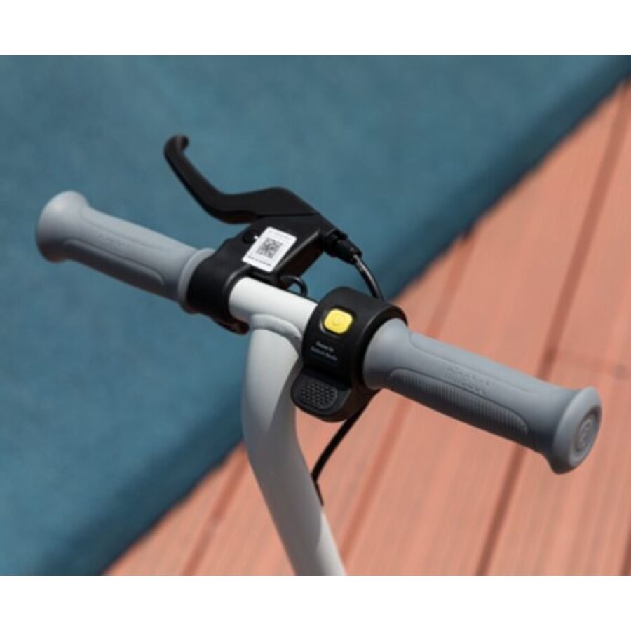 Ninebot eKickScooter ZING C8 Powered by Segway E-Step - Van 6-12 Jaar - Maximum Snelheid 16km/u - Actieradius tot 10km/40 min - Grijs/Geel-6