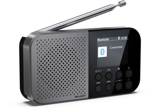 Sharp DR-P520(GY) Osaka Storm Grey DAB+ Radio 